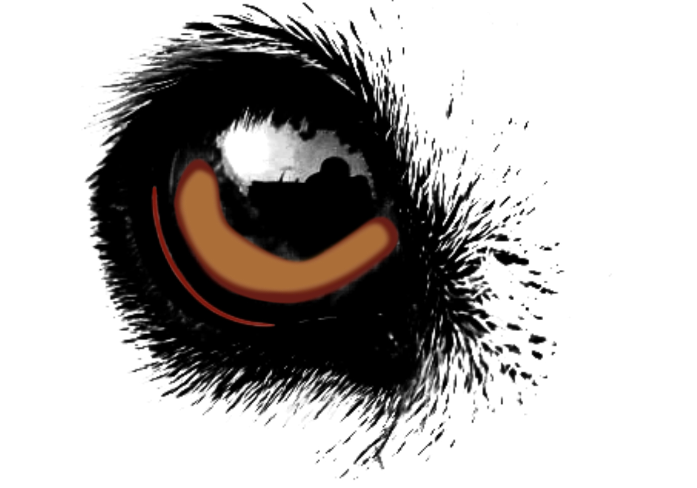 Dog Brushes Free Photoshop Brushes At Brusheezy 