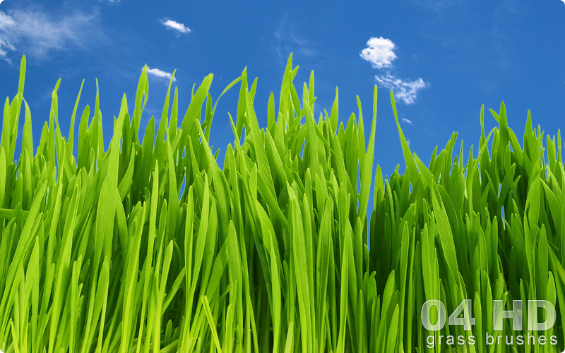 Grass-brushes-by-exirc.com-preview