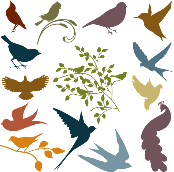 Bird_silhouettes_brush_example