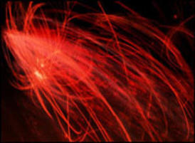 1172639623_thumb