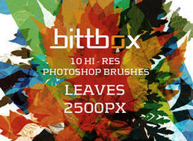 Bittbox-brushes