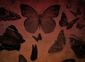 Butterfly-thumb