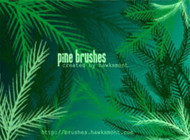 Pine-brushes-by-hawksmont300