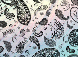 Paisley_photoshop_brushes_b