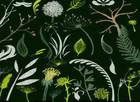 Foliage_sketches_brushes_by