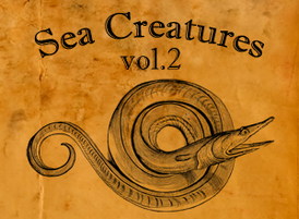 Sea-creatures-2-thumbnail
