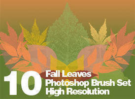 Fallleaves_banner