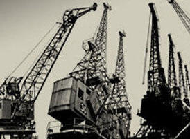 Cranes_thumb