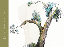 Tree_preview_small