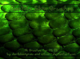 Reptile-skin-brushes_ps_all