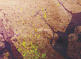 Splatter_1