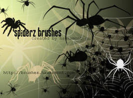 Spider-brushes-by-hawksmont300x200