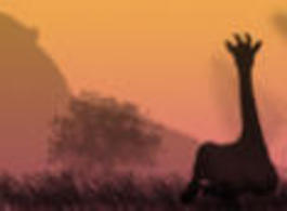 Onsafari