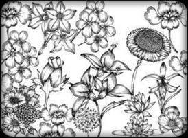 Free_flowers_pack300-220