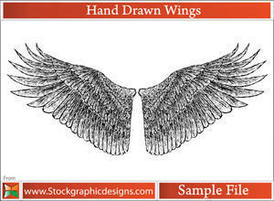 Hand_drawn_wings300-220
