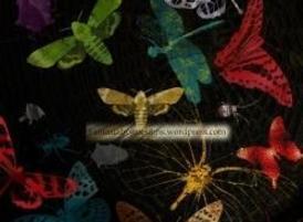 Ffd-creepy-crawlies_cvr