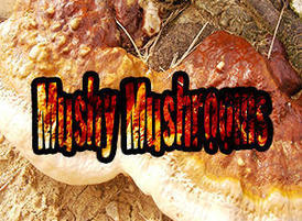 Mushthumbnail_copy