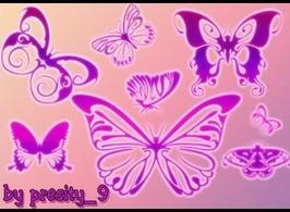Butterflybrushes4