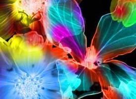 Flower_brush_cs4_rect