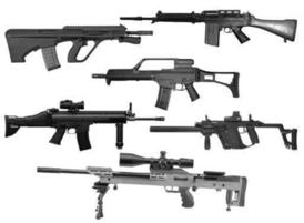 Gun-brushes
