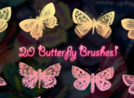Butterflybrushes_sd