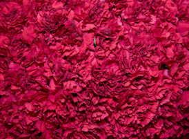 Marialacambra_colgar_001web