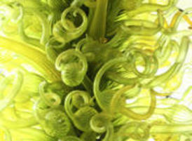 Marialacambra_003_web