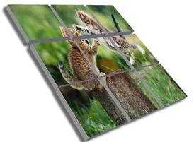 Matrix_cats_b-333565