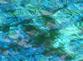 P1030995