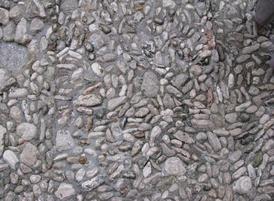 Wet_cobble-thumb