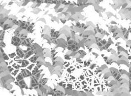 Untitled-8