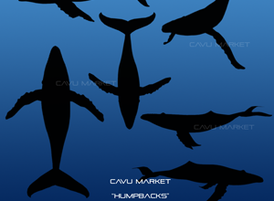 Whales2