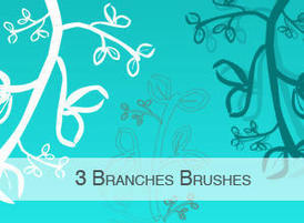 3branches_thumb