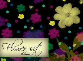 Flower_cover_2_