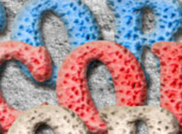 Coralstylespreviewsmall