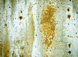 photoshop photoshop