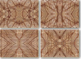Rainforest_brown_thumb