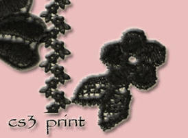 4-lace-brushes