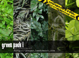 Green1-pack-by-hawksmont300x200
