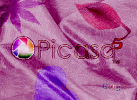 Google_picasa