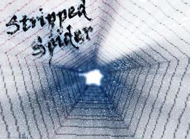 Stripped_spider