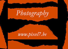 Ripped_border