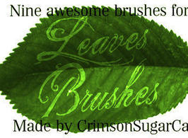 Leaves