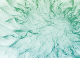 Fractalflowers