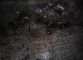 Img_3745-lowres