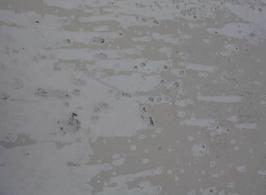Img_0122lowres