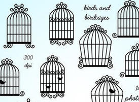 Birdcages_example3