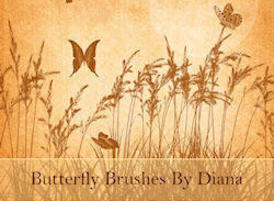 Butterfly_preview_small