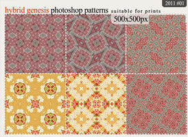 Hgpattern_2011_set01cap