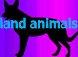 Land_animal_thumbnail